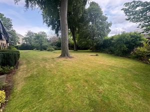 Photo 15- click for photo gallery